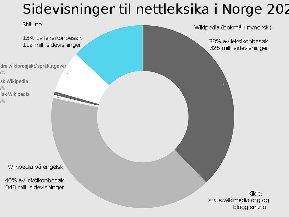 Sirkeldiagram av sidevisninger til nettleksika i Norge i 2021